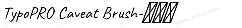TypoPRO Caveat Brush字体转换
